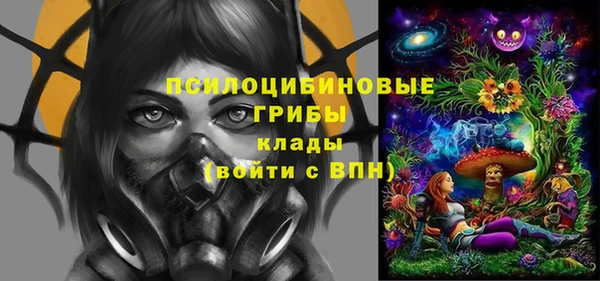 гашик Михайловка
