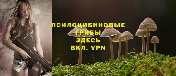 гашик Михайловка