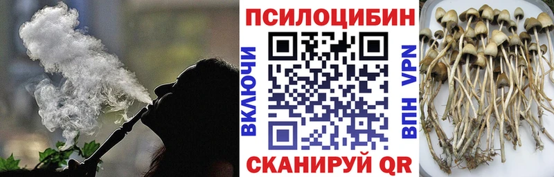 Галлюциногенные грибы мицелий  Новосиль 